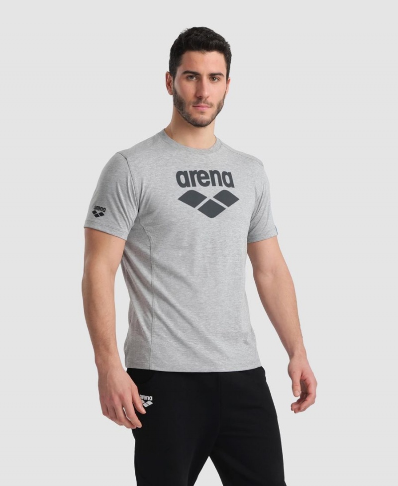 T-Shirt Arena Logo Coton Grise Femme | AXE-86753971