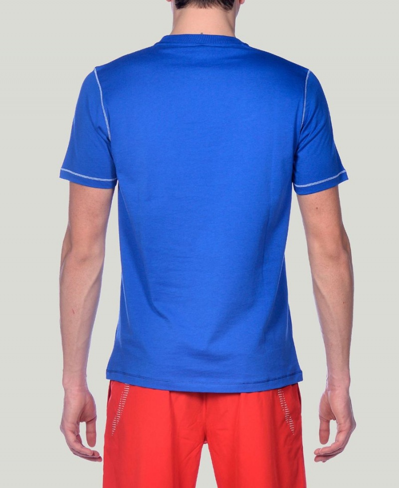 T-Shirt Arena Team Line Corta Sleeve Bleu Femme | NTM-20112295