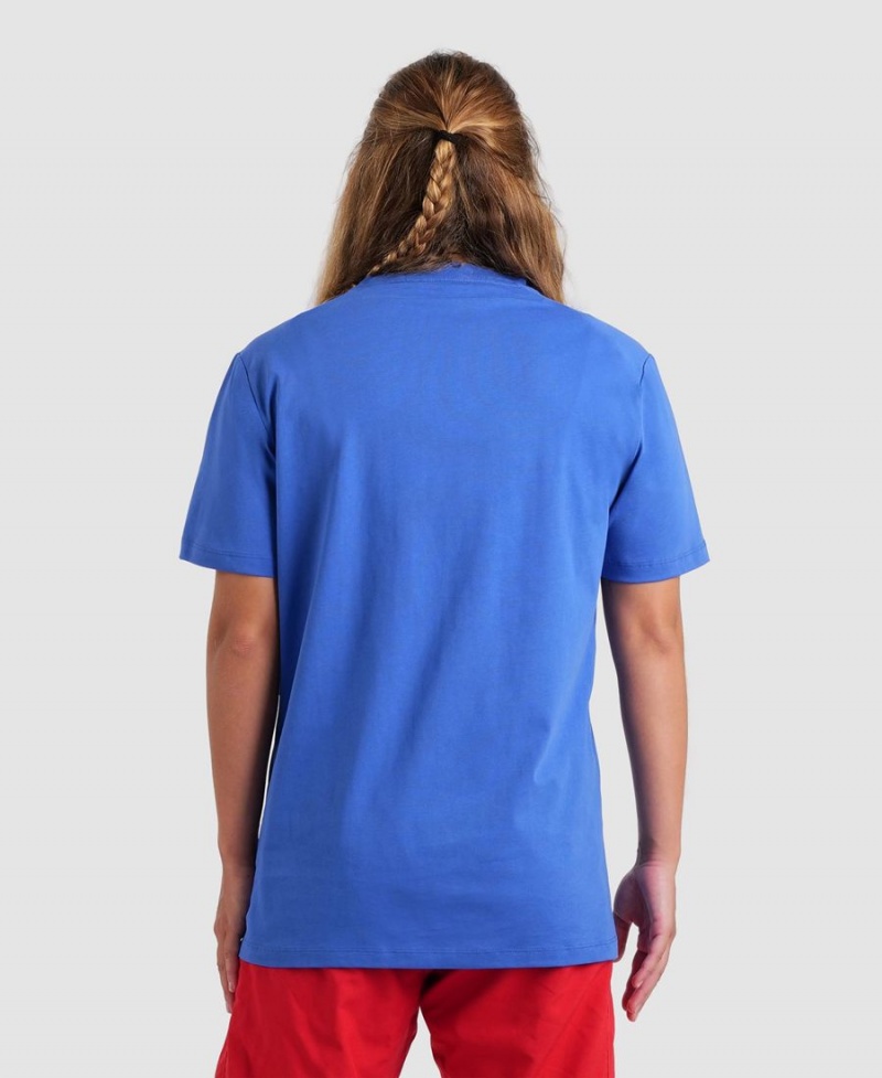 T-Shirt Arena Team Panel Bleu Femme | DOF-31755016