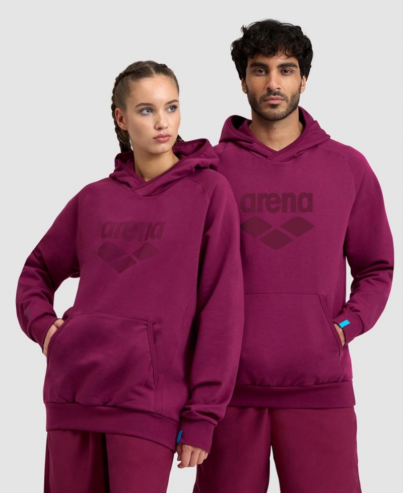 Sweatshirt Arena Logo Encapuchonné Bordeaux Femme | YEI-93766065