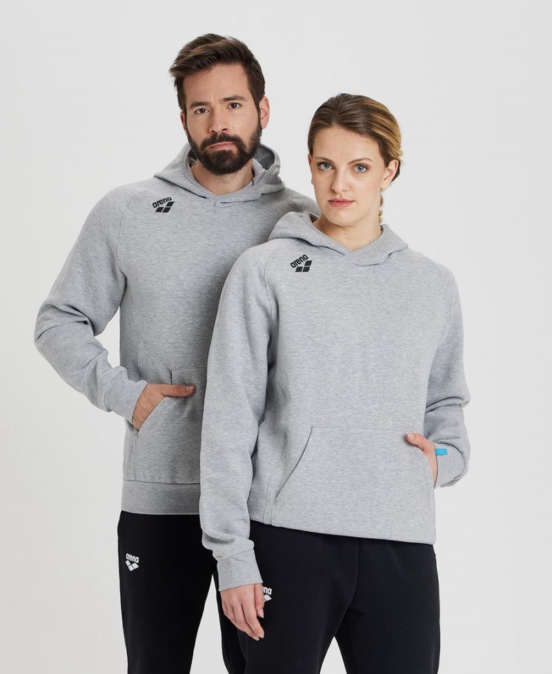 Sweatshirt Arena Team Encapuchonné Panel Grise Femme | KFH-59433718