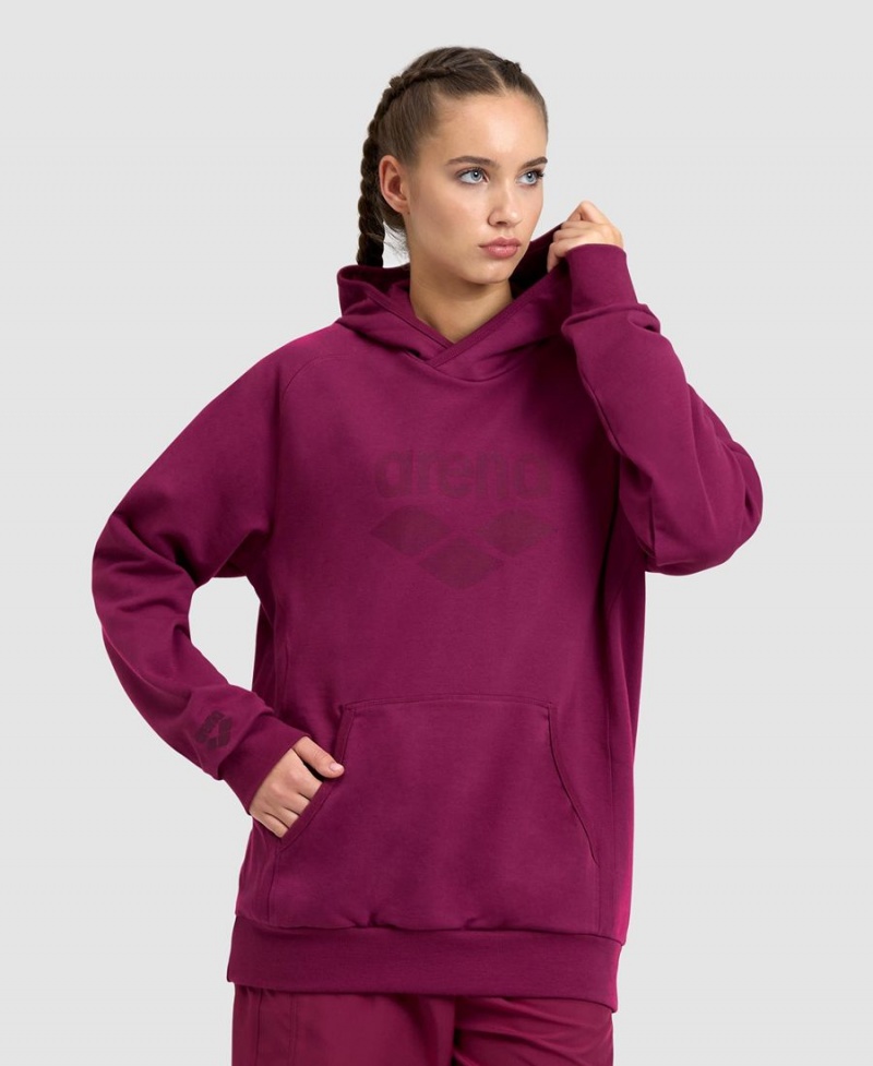 Sweatshirt Arena Logo Encapuchonné Bordeaux Femme | YEI-93766065