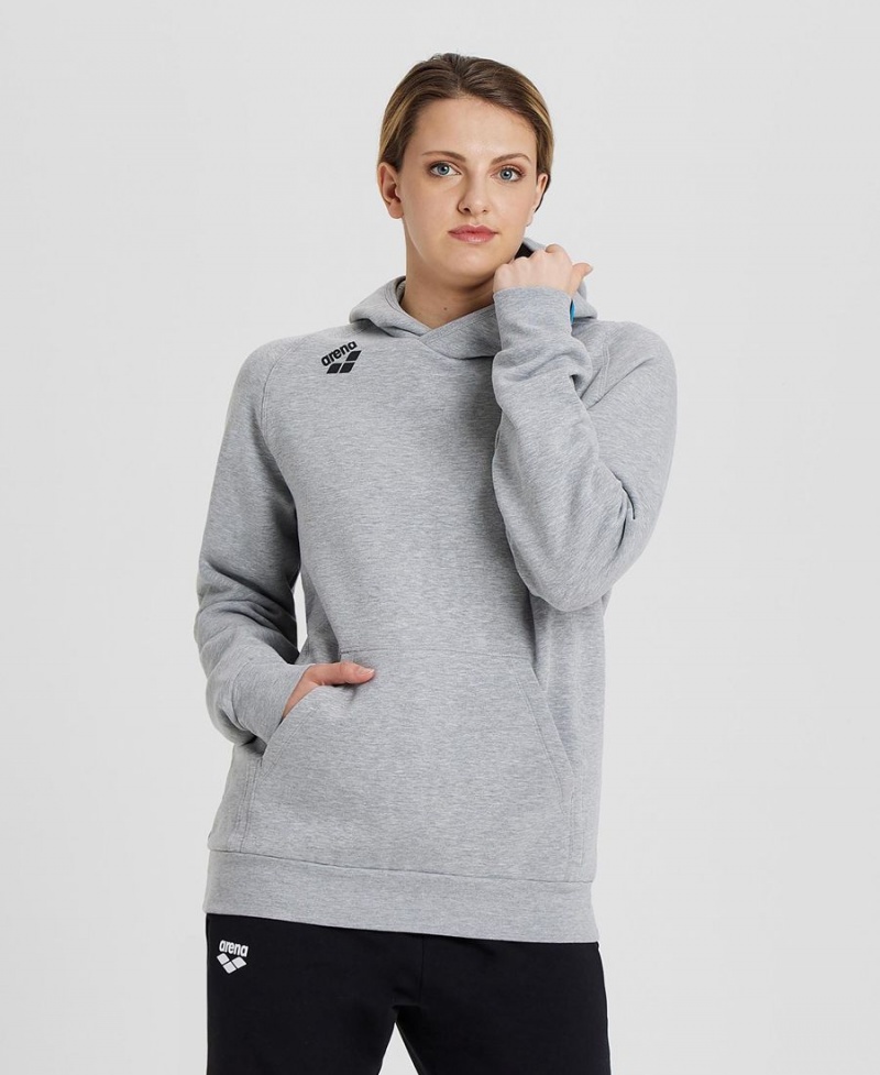 Sweatshirt Arena Team Encapuchonné Panel Grise Femme | KFH-59433718