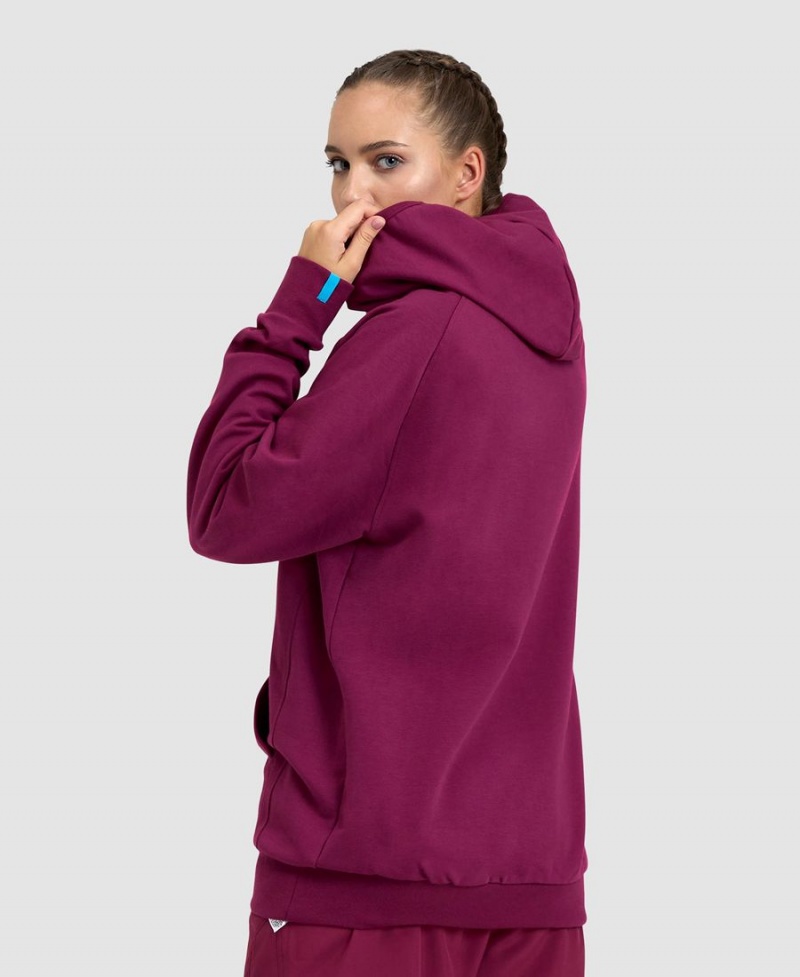 Sweatshirt Arena Logo Encapuchonné Bordeaux Femme | YEI-93766065