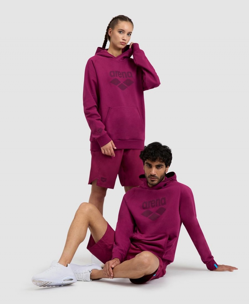 Sweatshirt Arena Logo Encapuchonné Bordeaux Femme | YEI-93766065