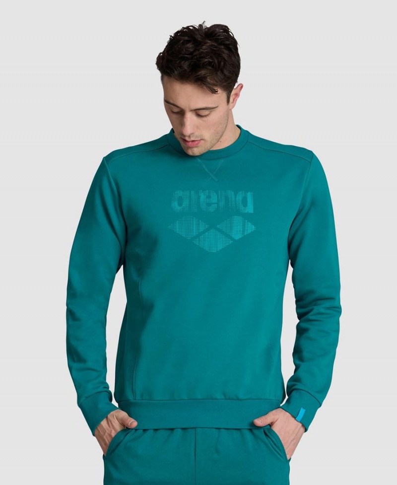 Sweatshirt Arena Logo Crewneck Vert Femme | NVD-92084164