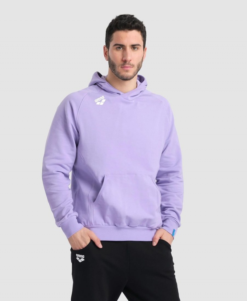 Sweatshirt Arena Team Encapuchonné Panel Violette Femme | GMG-35666021