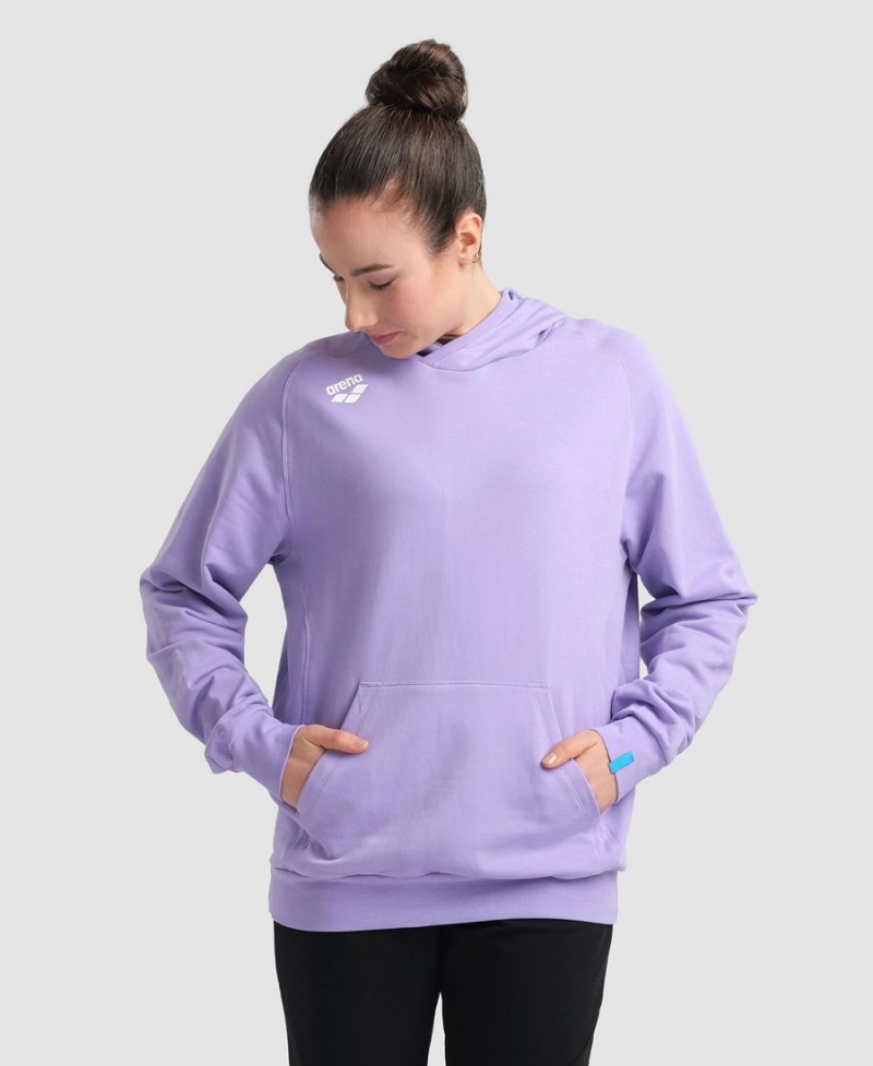 Sweatshirt Arena Team Encapuchonné Panel Violette Femme | GMG-35666021