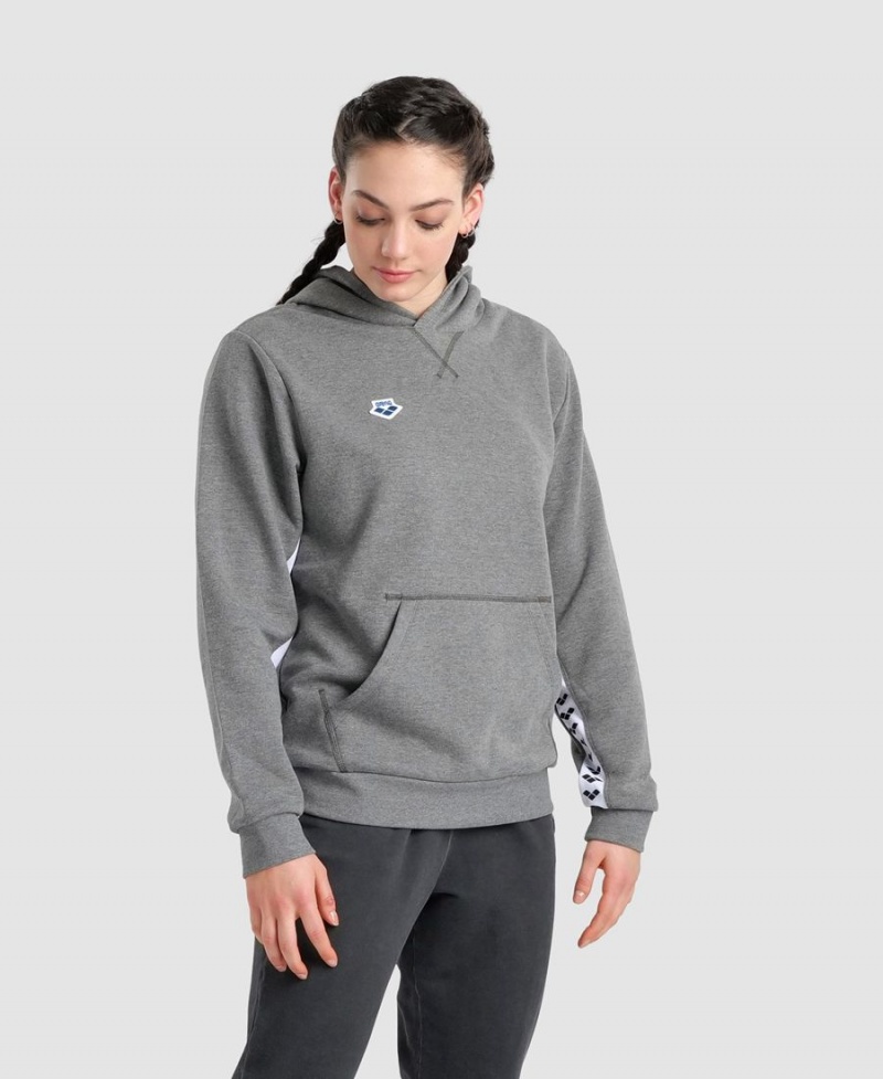 Sweatshirt Arena Icons Solid Encapuchonné Grise Femme | TXQ-02754553