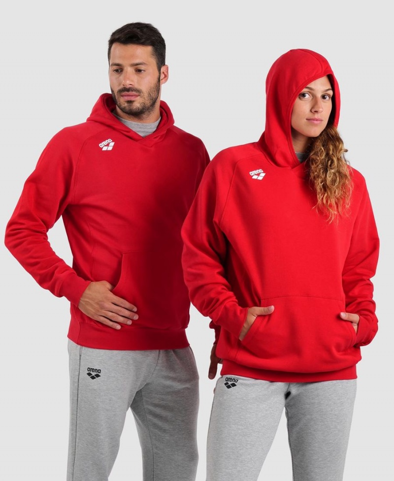 Sweatshirt Arena Team Encapuchonné Panel Rouge Femme | FAS-98701475