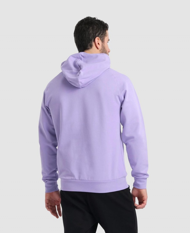 Sweatshirt Arena Team Encapuchonné Panel Violette Femme | GMG-35666021