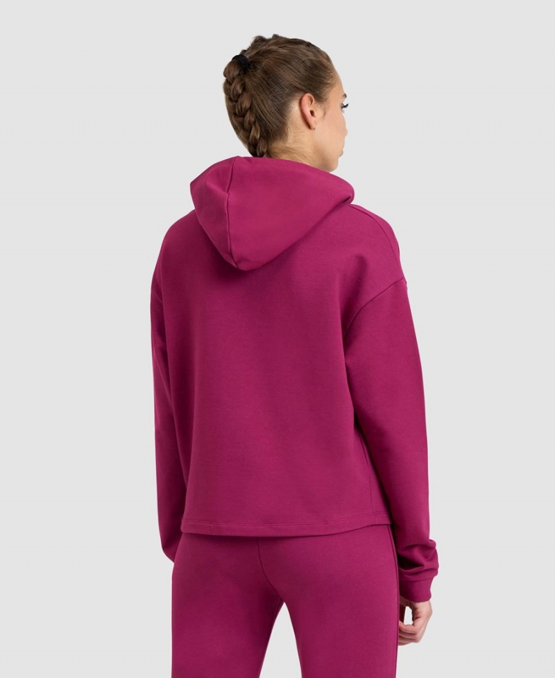 Sweatshirt Arena Encapuchonné Fleece Rouge Femme | YOE-58682524