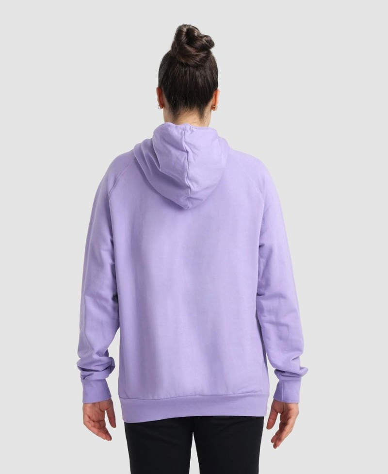 Sweatshirt Arena Team Encapuchonné Panel Violette Femme | GMG-35666021