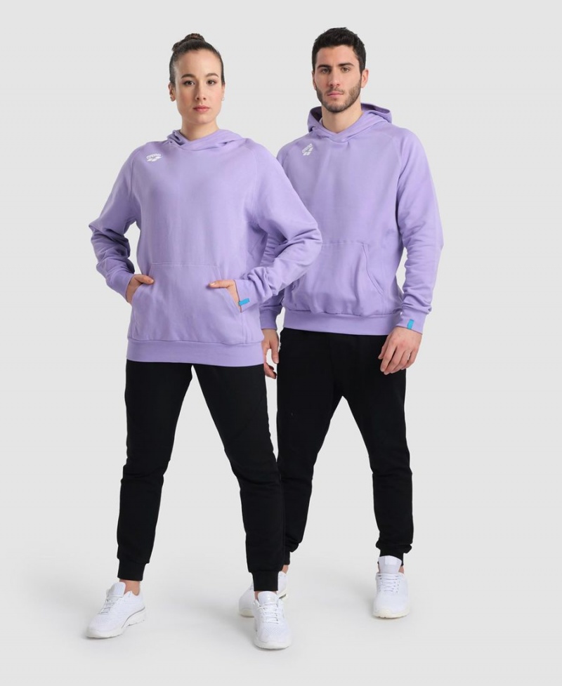 Sweatshirt Arena Team Encapuchonné Panel Violette Femme | GMG-35666021