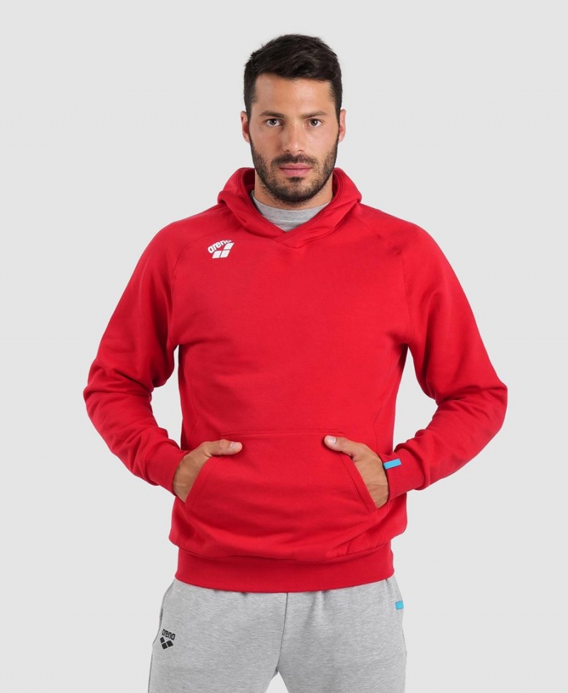 Sweatshirt Arena Team Encapuchonné Panel Rouge Femme | FAS-98701475