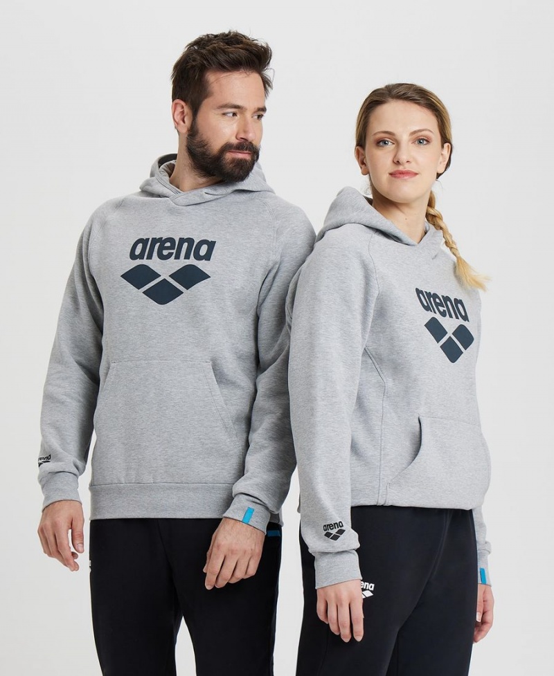 Sweatshirt Arena Logo Encapuchonné Grise Femme | FQO-46545538