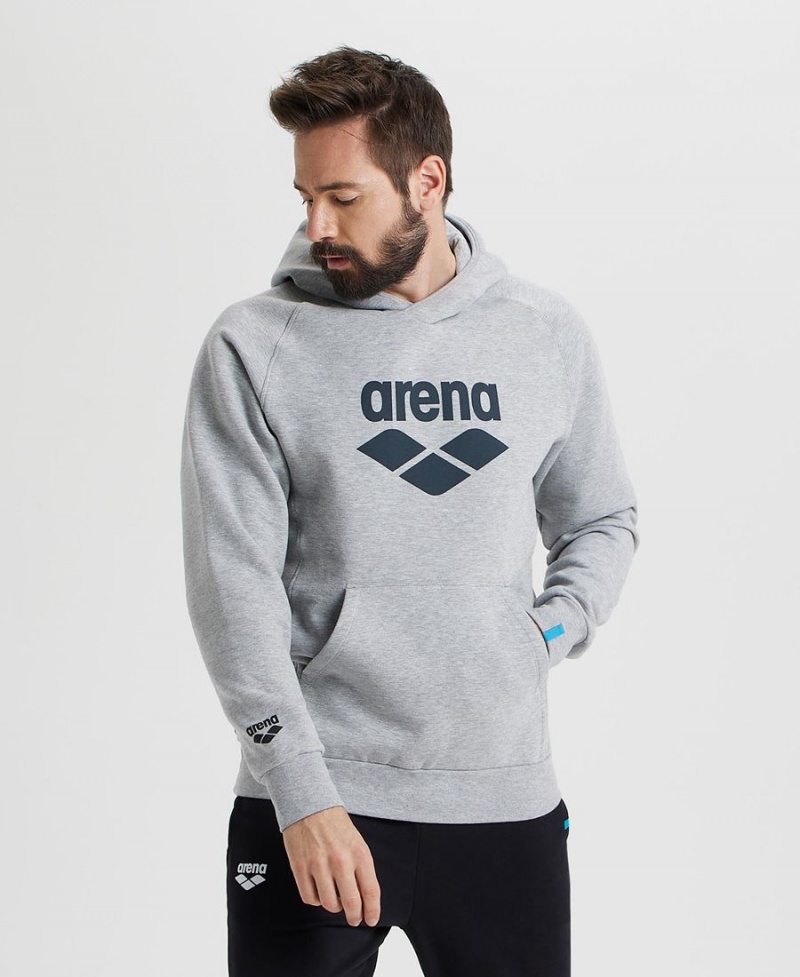 Sweatshirt Arena Logo Encapuchonné Grise Femme | FQO-46545538