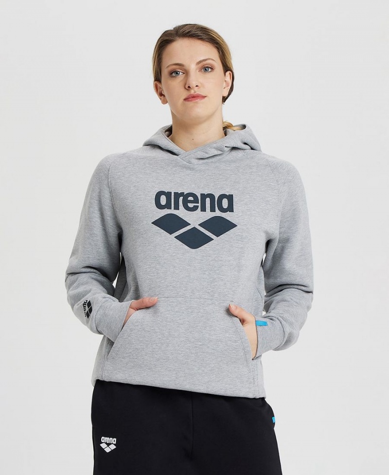 Sweatshirt Arena Logo Encapuchonné Grise Femme | FQO-46545538