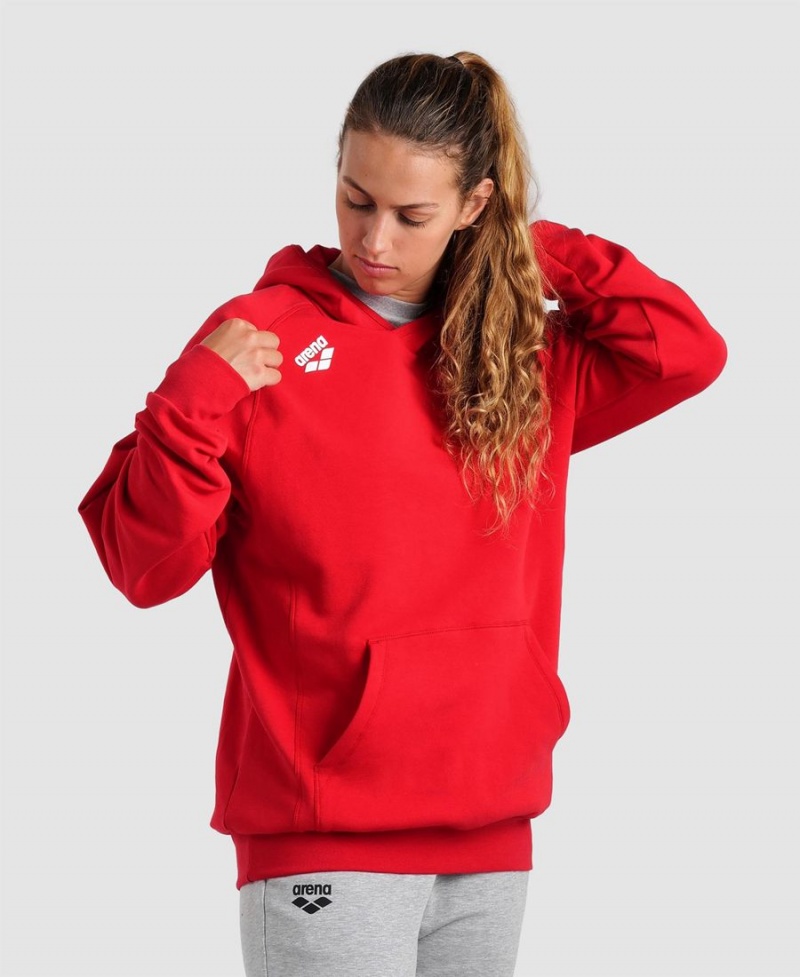 Sweatshirt Arena Team Encapuchonné Panel Rouge Femme | FAS-98701475