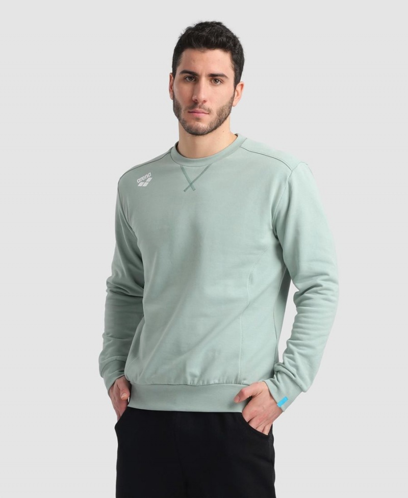 Sweatshirt Arena Solid Crewneck Vert Femme | VKD-06007178