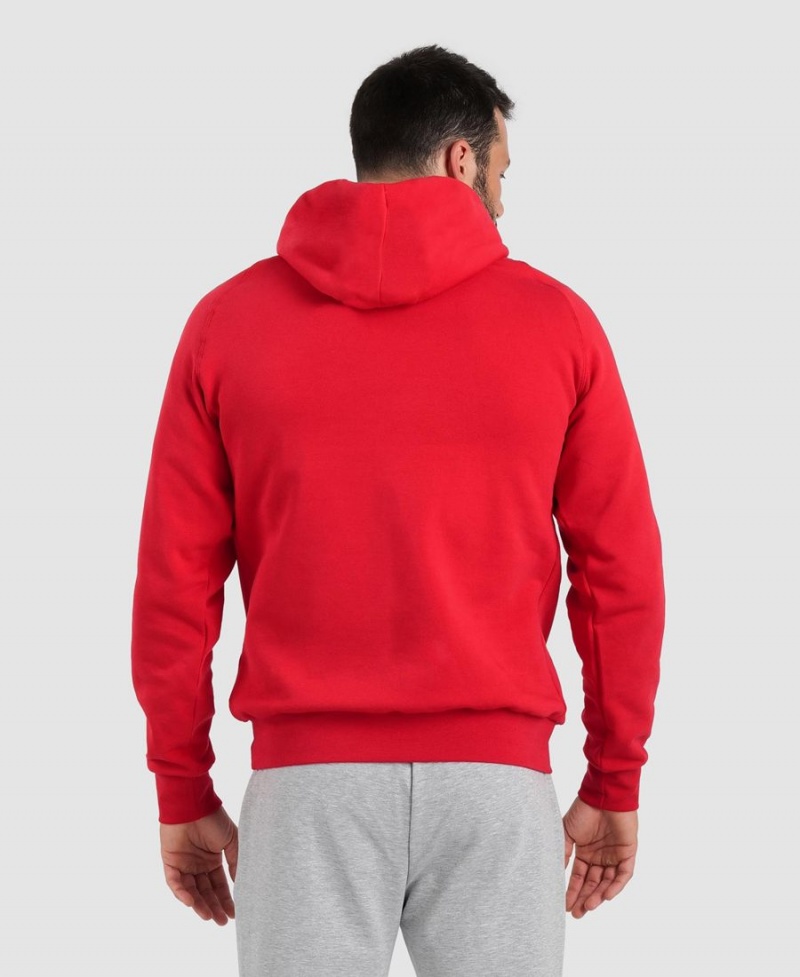 Sweatshirt Arena Team Encapuchonné Panel Rouge Femme | FAS-98701475