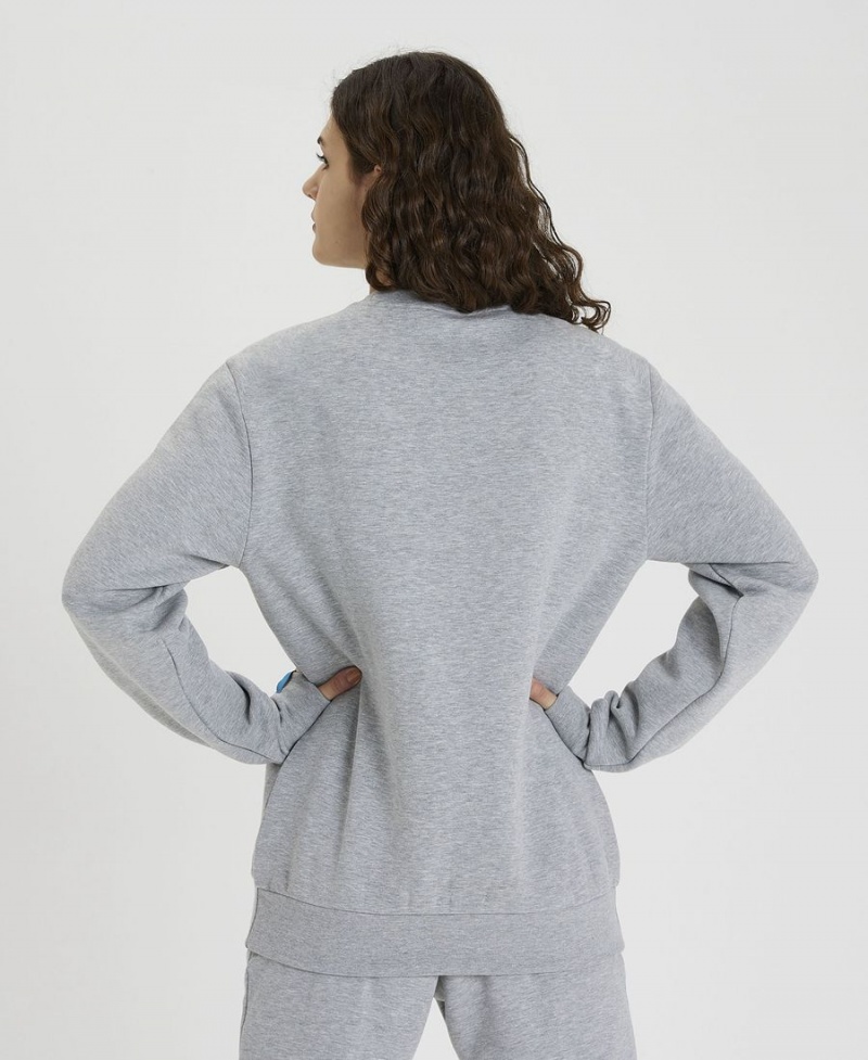 Sweatshirt Arena Solid Crewneck Grise Femme | NRL-01755375