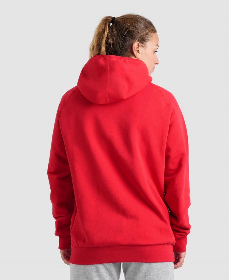 Sweatshirt Arena Team Encapuchonné Panel Rouge Femme | FAS-98701475