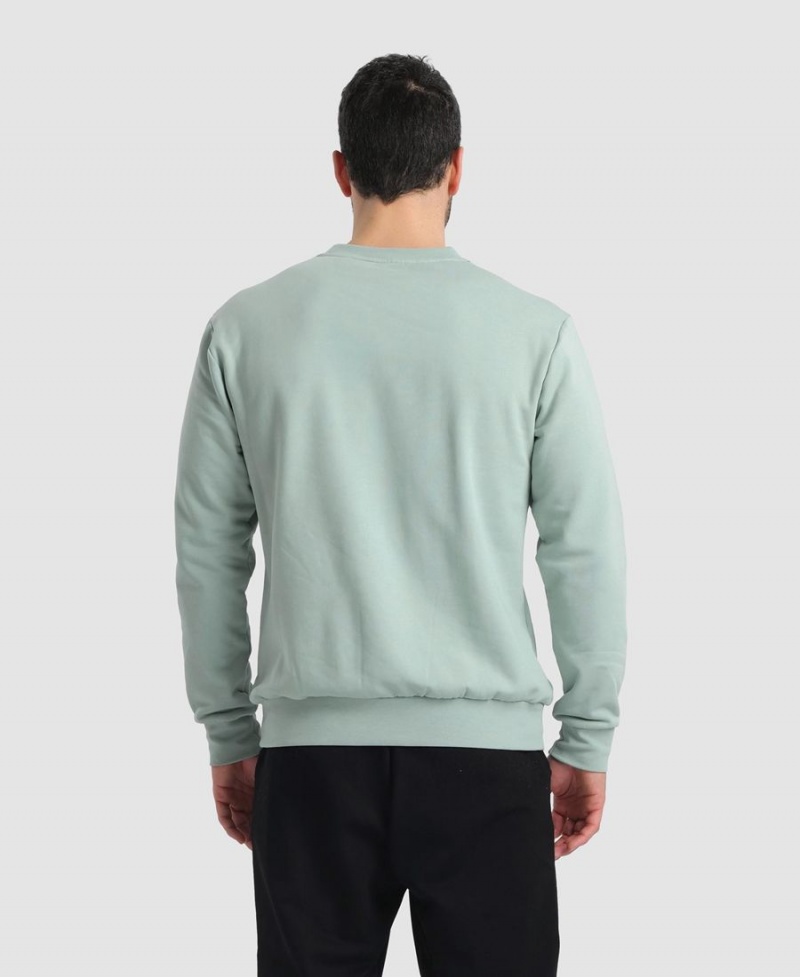 Sweatshirt Arena Solid Crewneck Vert Femme | VKD-06007178