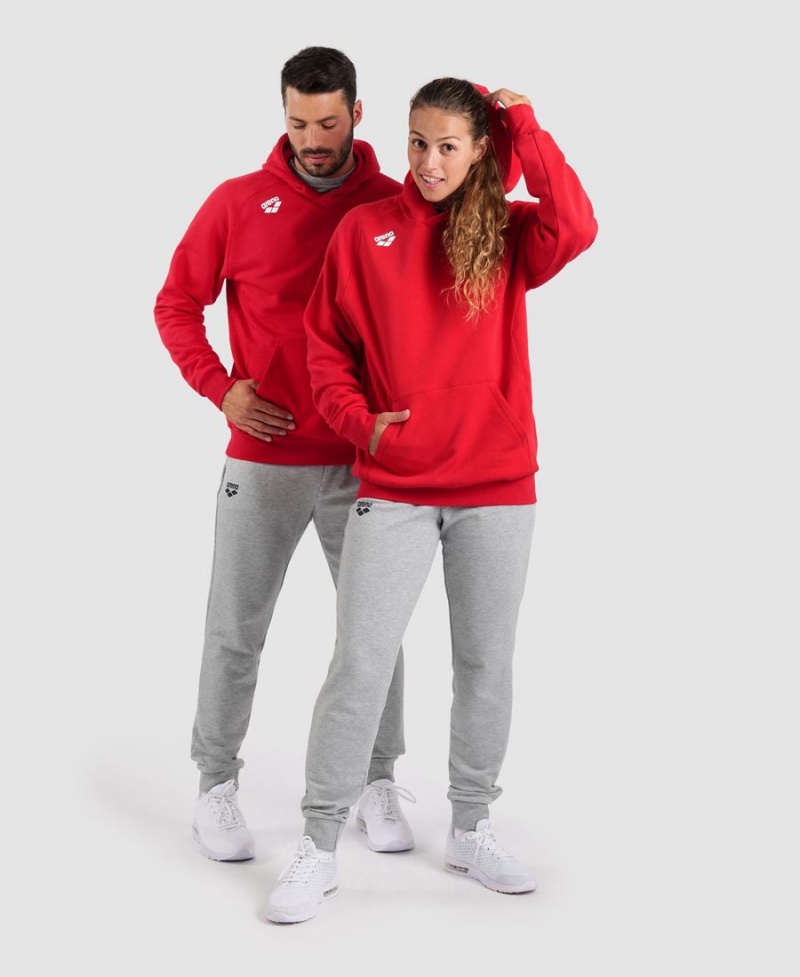 Sweatshirt Arena Team Encapuchonné Panel Rouge Femme | FAS-98701475