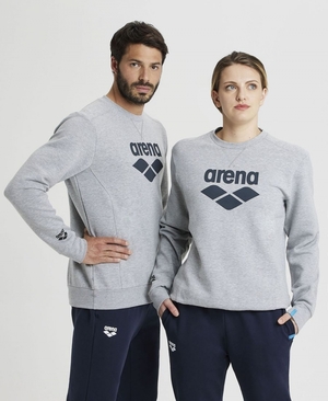 Sweatshirt Arena Logo Crewneck Grise Femme | NFB-86308875