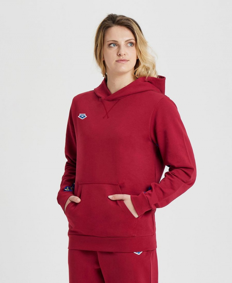 Sweatshirt Arena Icons Solid Encapuchonné Bordeaux Femme | FZD-88920122