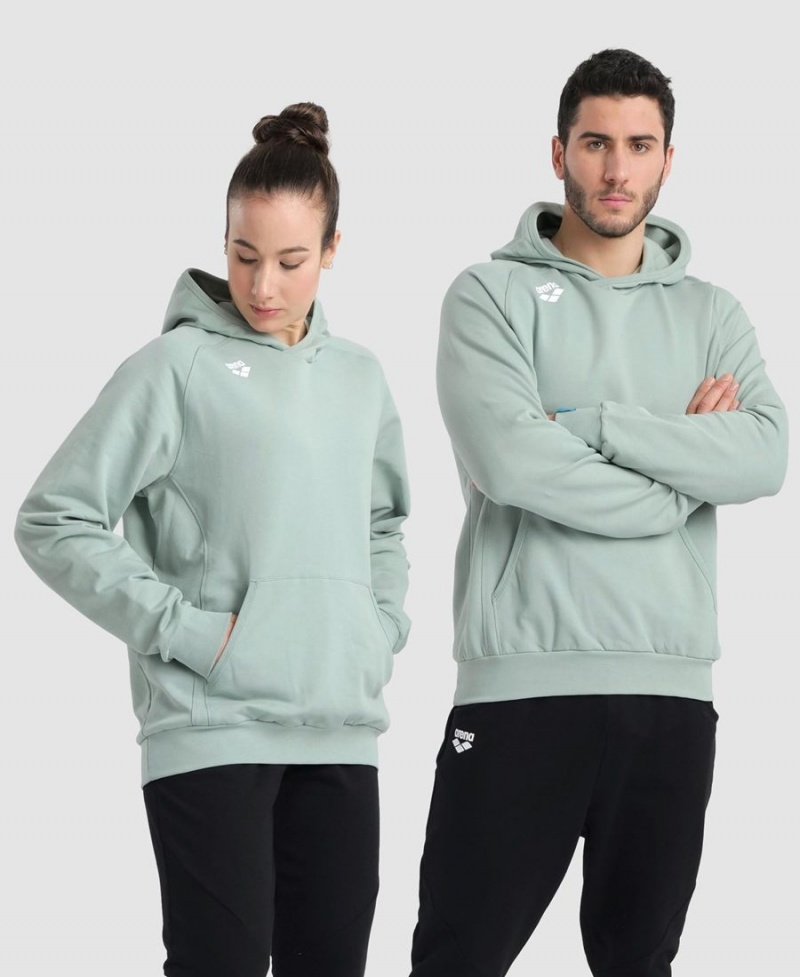 Sweatshirt Arena Team Encapuchonné Panel Vert Femme | XJK-27240147