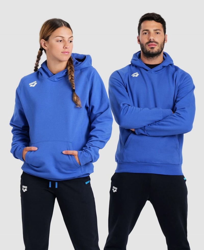 Sweatshirt Arena Team Encapuchonné Panel Bleu Femme | APO-41034630