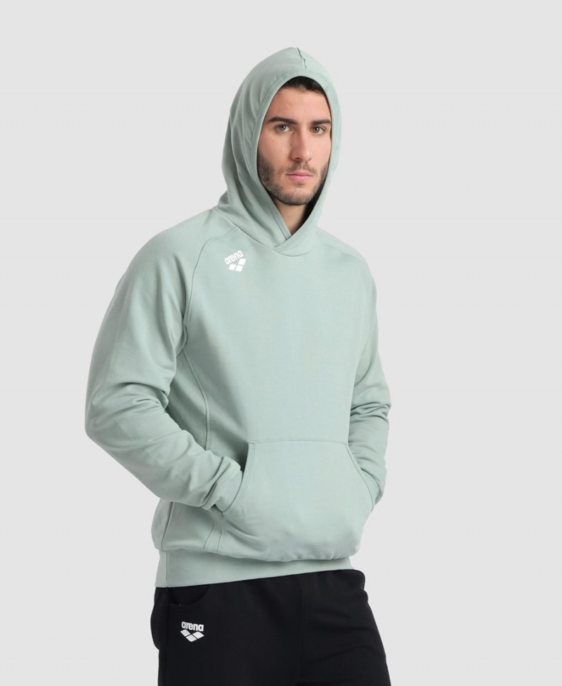 Sweatshirt Arena Team Encapuchonné Panel Vert Femme | XJK-27240147