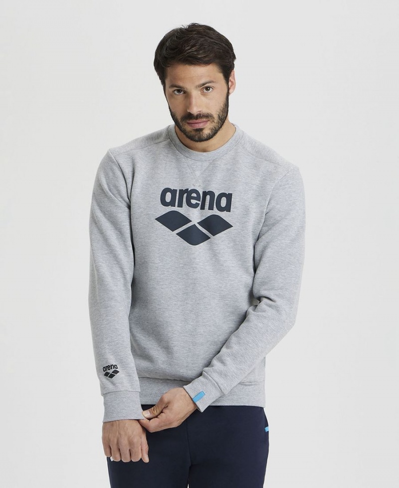 Sweatshirt Arena Logo Crewneck Grise Femme | NFB-86308875