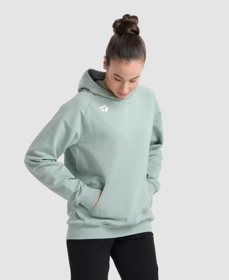 Sweatshirt Arena Team Encapuchonné Panel Vert Femme | XJK-27240147