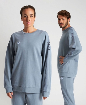 Sweatshirt Arena Oversized Team Grise Femme | XND-53604314