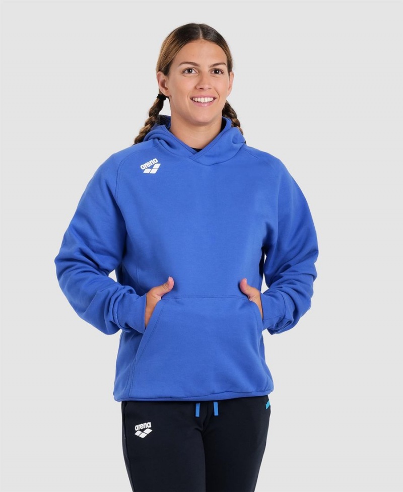 Sweatshirt Arena Team Encapuchonné Panel Bleu Femme | APO-41034630