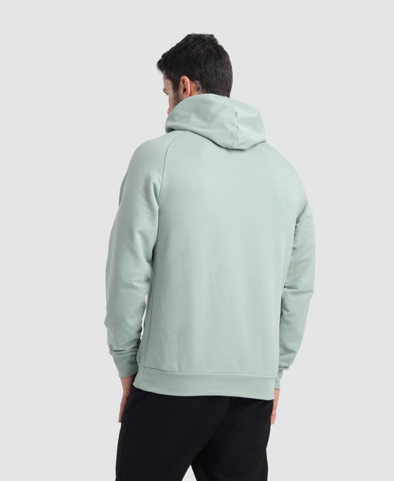 Sweatshirt Arena Team Encapuchonné Panel Vert Femme | XJK-27240147