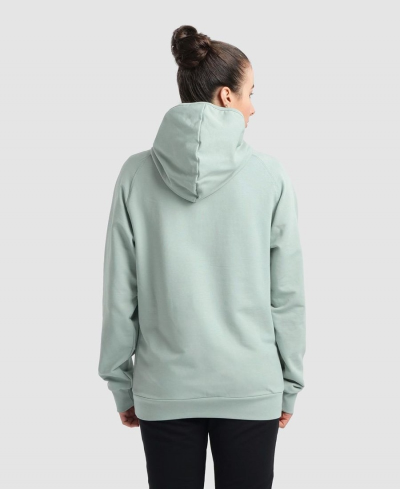 Sweatshirt Arena Team Encapuchonné Panel Vert Femme | XJK-27240147