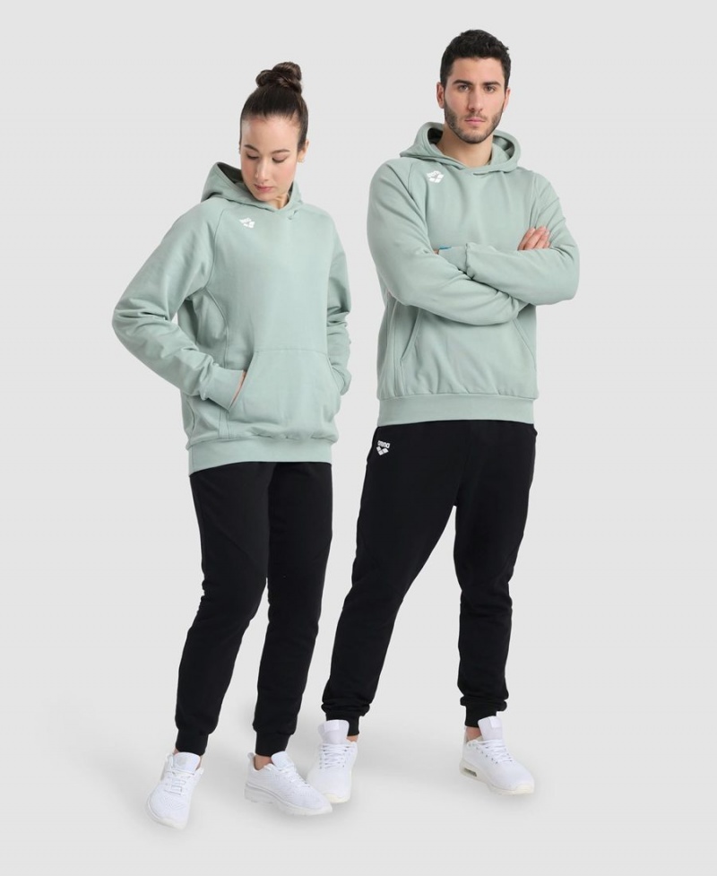 Sweatshirt Arena Team Encapuchonné Panel Vert Femme | XJK-27240147