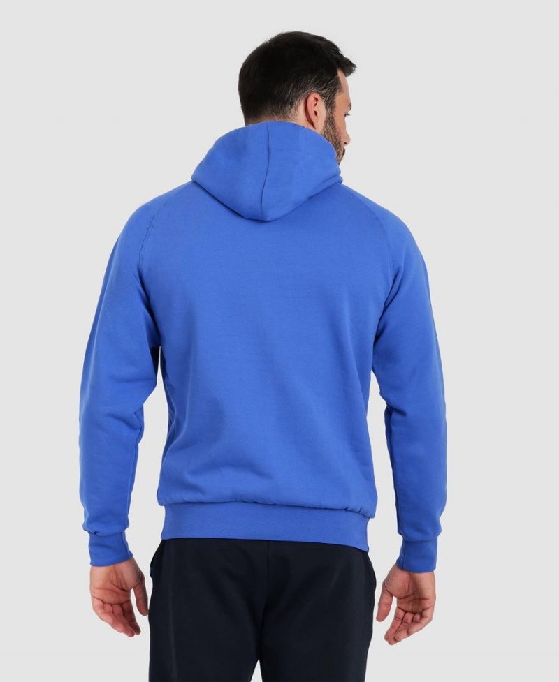 Sweatshirt Arena Team Encapuchonné Panel Bleu Femme | APO-41034630