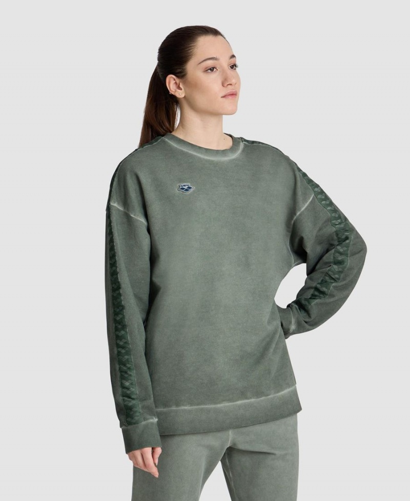 Sweatshirt Arena Icons Oversize Vert Femme | CXO-25114143