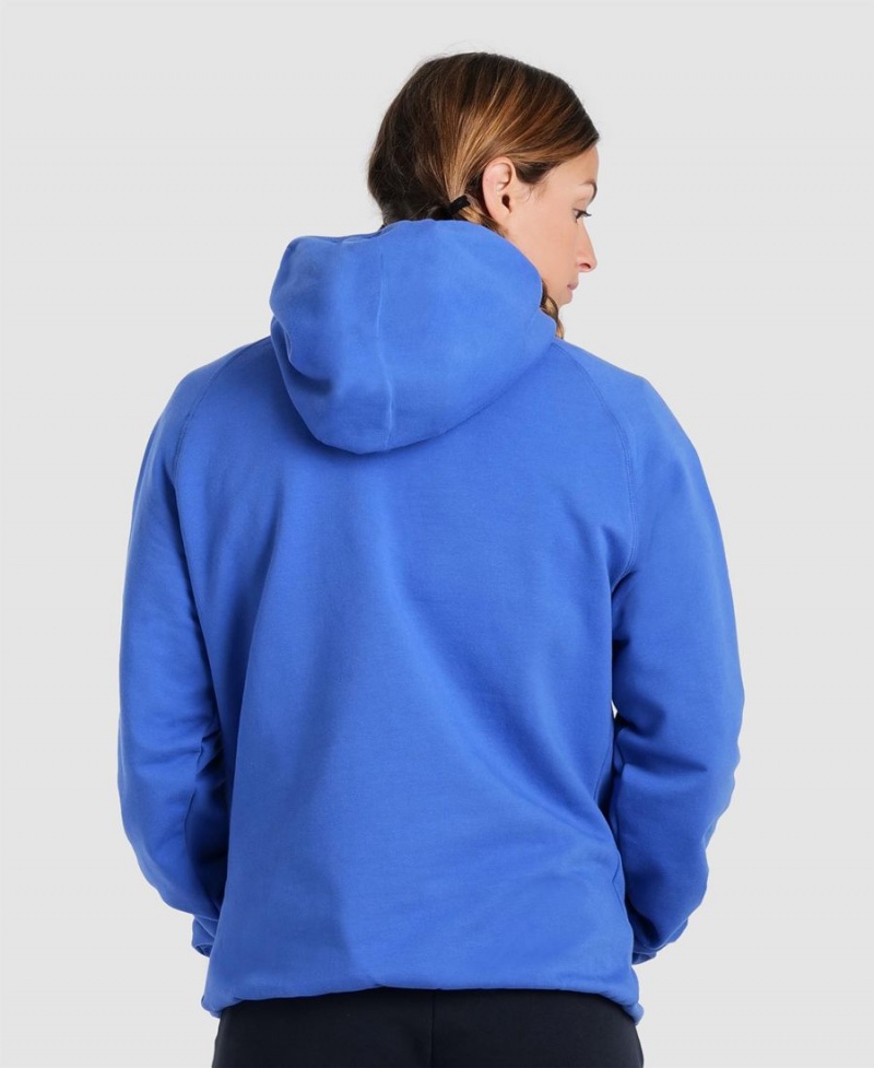 Sweatshirt Arena Team Encapuchonné Panel Bleu Femme | APO-41034630