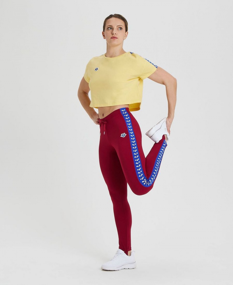 Pantalon Arena Caroline Team Bordeaux Bleu Femme | WKZ-28396371