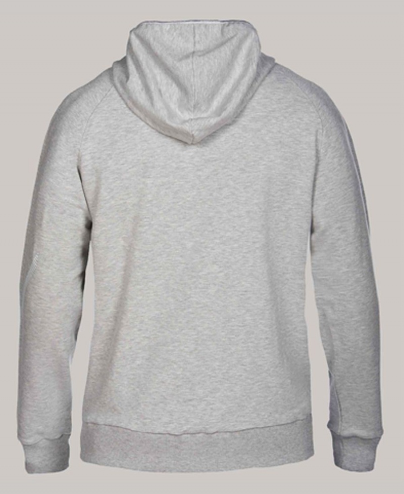 Sweat a Capuche Arena Team Line Grise Femme | TEV-51885315