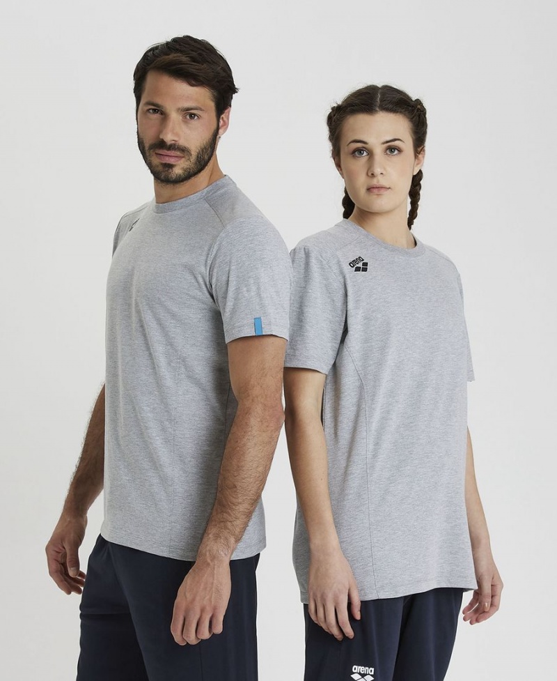 T-Shirt Arena Team Panel Grise Homme | JUX-53680440