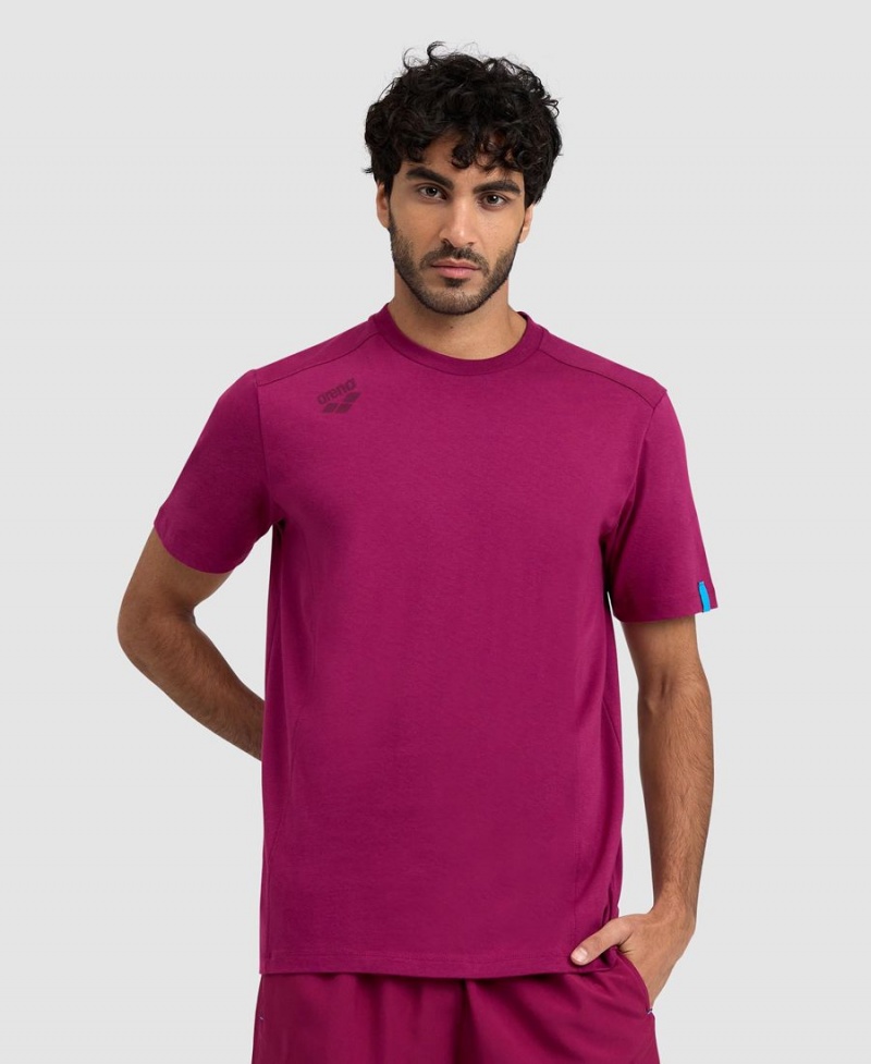 T-Shirt Arena Team Panel Bordeaux Homme | GGJ-78063890