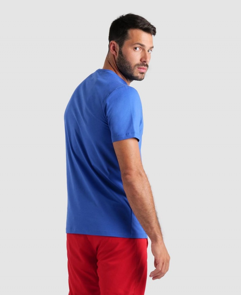 T-Shirt Arena Team Panel Bleu Homme | QSR-28038155