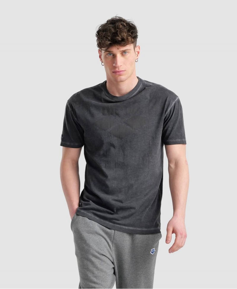 T-Shirt Arena Icons Grise Homme | EOL-73901062